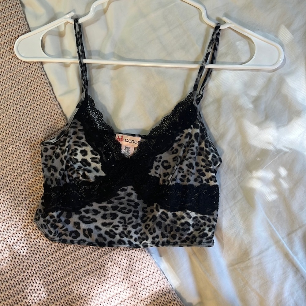 Cheetah Tank